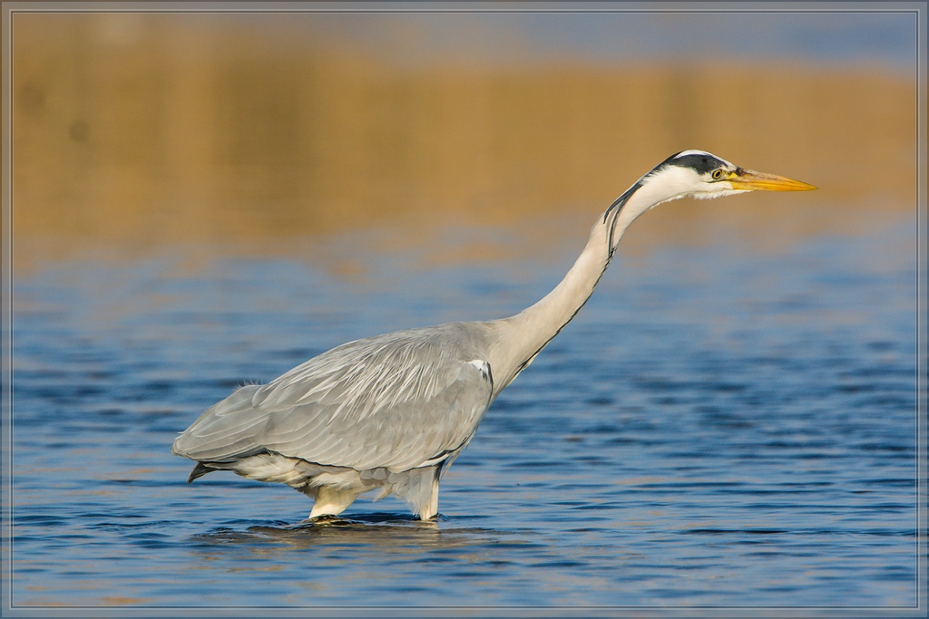 20140419 7516 [NIKON D7100] 850 mm,1 1250 Sek. bei ƒ   8,0