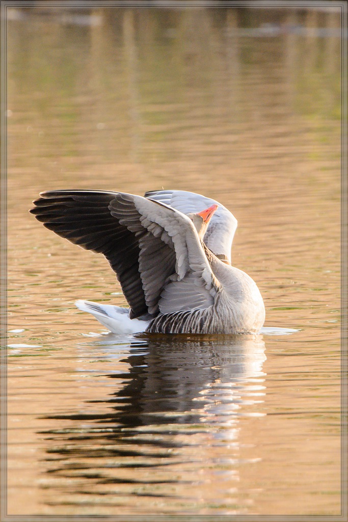 20140420 7712 [NIKON D7100] 850 mm,1 500 Sek. bei ƒ   8,0