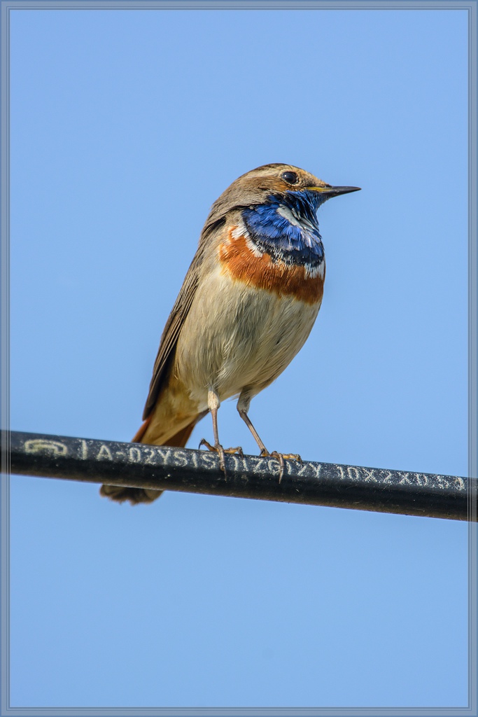 20140420 7813 [NIKON D7100] 850 mm,1 1250 Sek. bei ƒ   8,0