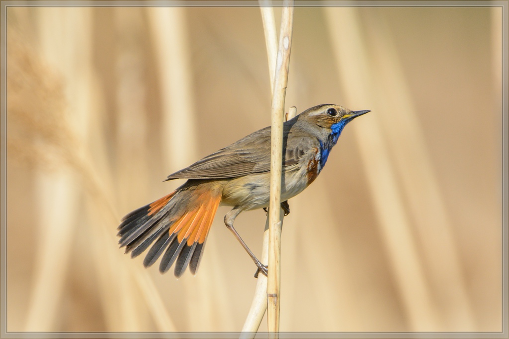 20140420 7843 [NIKON D7100] 850 mm,1 1250 Sek. bei ƒ   8,0