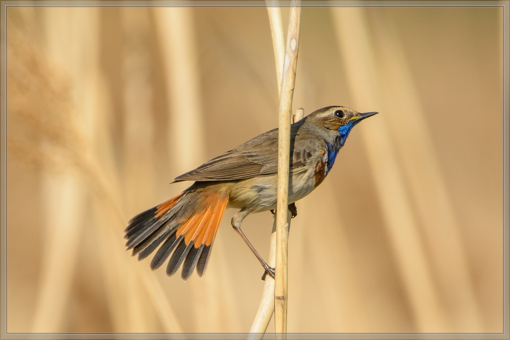20140420 7843 [NIKON D7100] 850 mm,1 1250 Sek. bei ƒ   8,0
