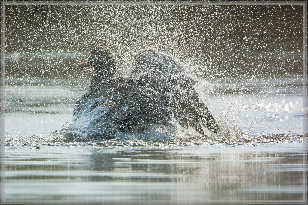 20140422 0142 [NIKON 1 V3] 600 mm,1 1600 Sek. bei ƒ   4,0