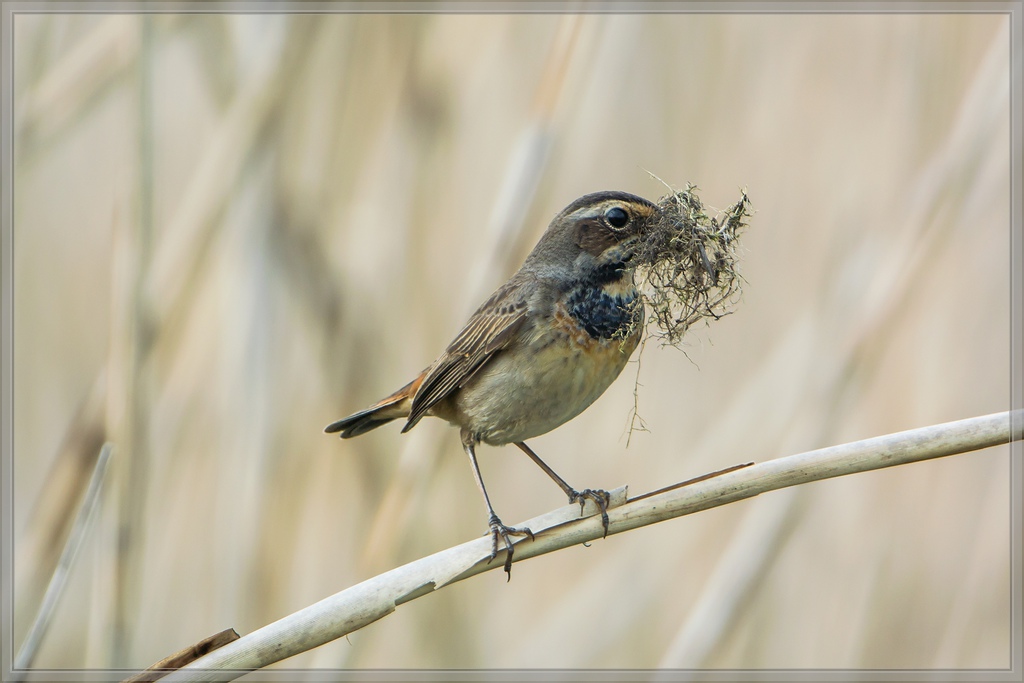 20140422 0310 [NIKON 1 V3] 600 mm,1 400 Sek. bei ƒ   4,0