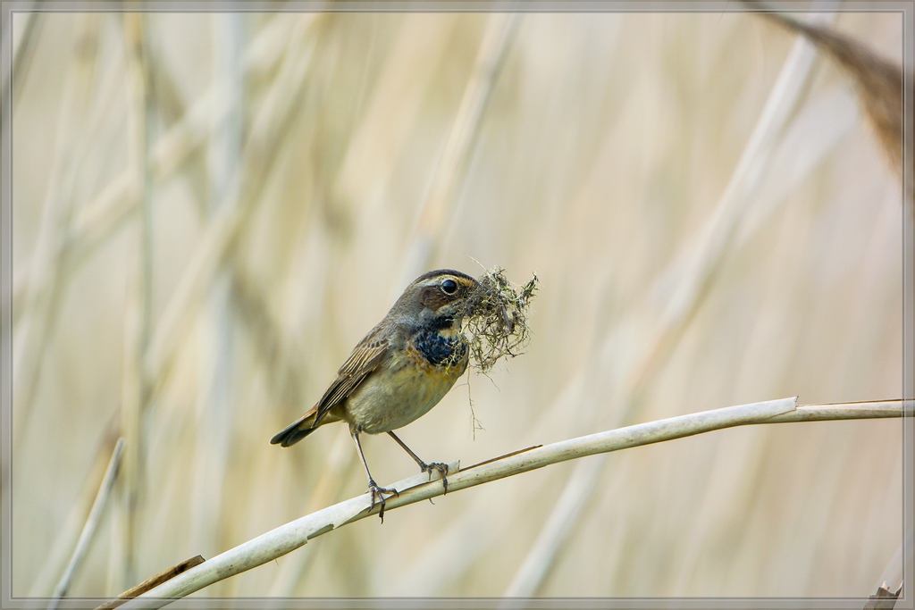 20140422 0317 [NIKON 1 V3] 600 mm,1 400 Sek. bei ƒ   4,0