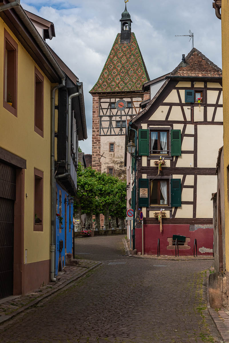 20140424-NIK_8831.jpg
