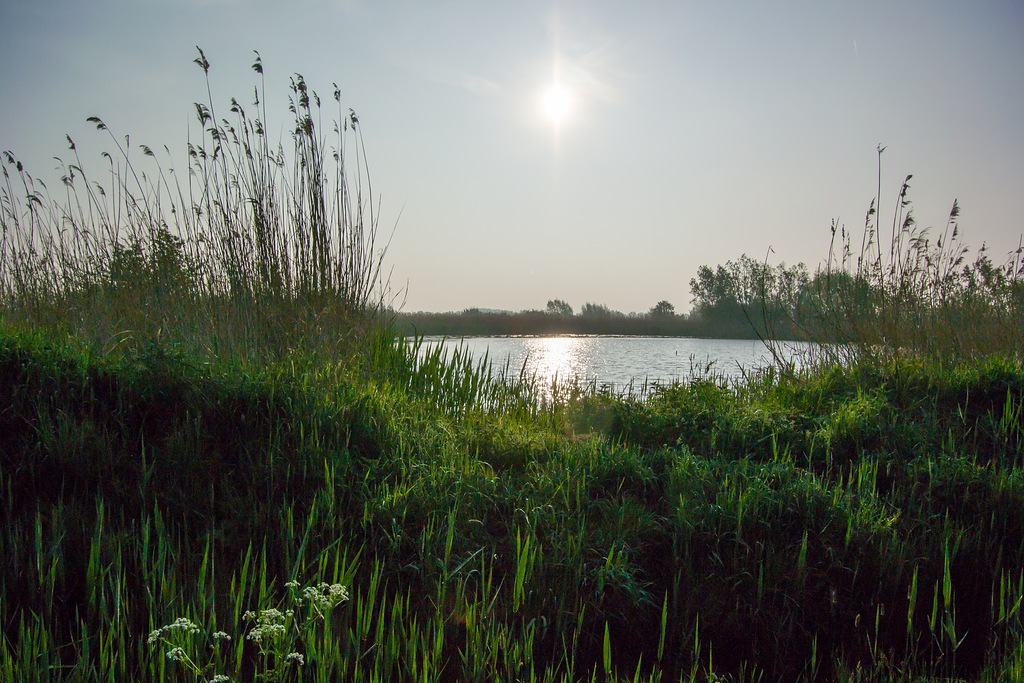 20140425 0850 [NIKON 1 V3] 10 mm,1 3200 Sek. bei ƒ   7,1
