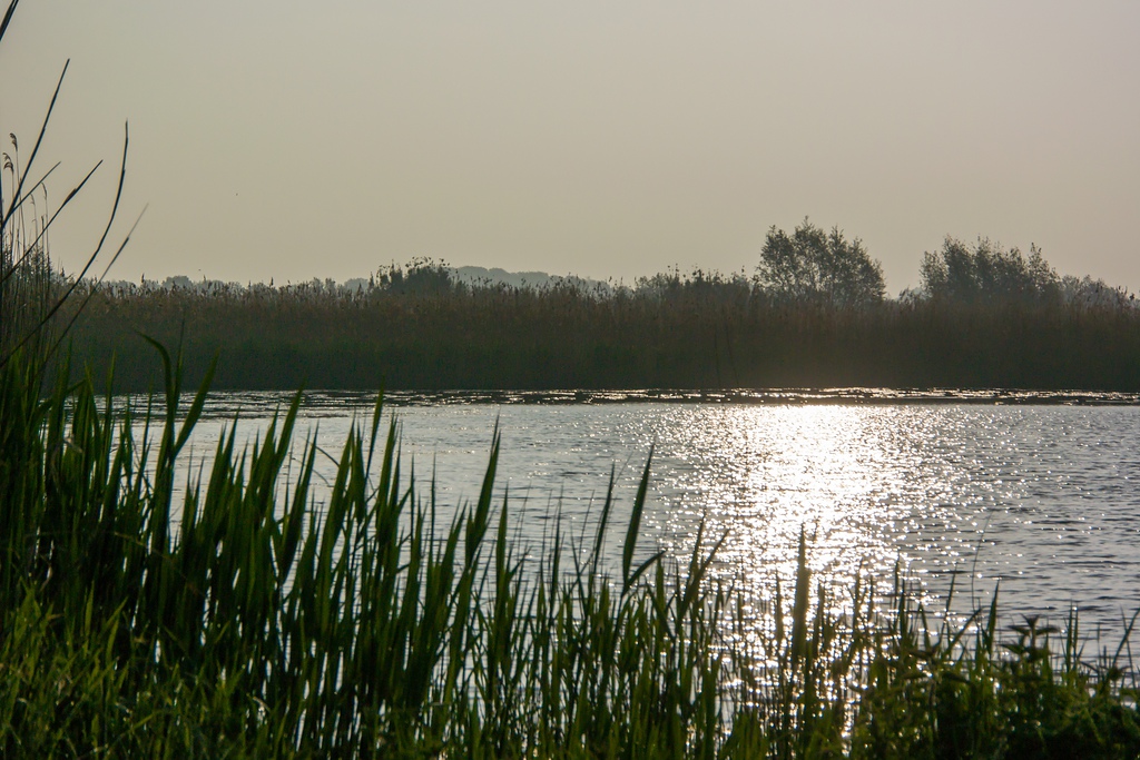 20140425 0851 [NIKON 1 V3] 40.6 mm,1 4000 Sek. bei ƒ   7,1