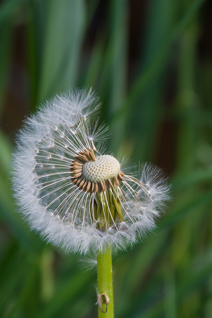20140425 0926 [NIKON 1 V3] 100 mm,1 200 Sek. bei ƒ   6,3