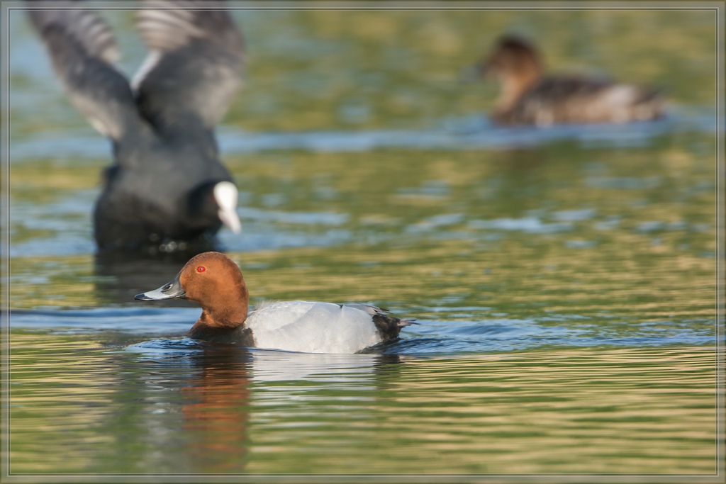 20140425 8013 [NIKON D7100] 850 mm,1 400 Sek. bei ƒ   8,0
