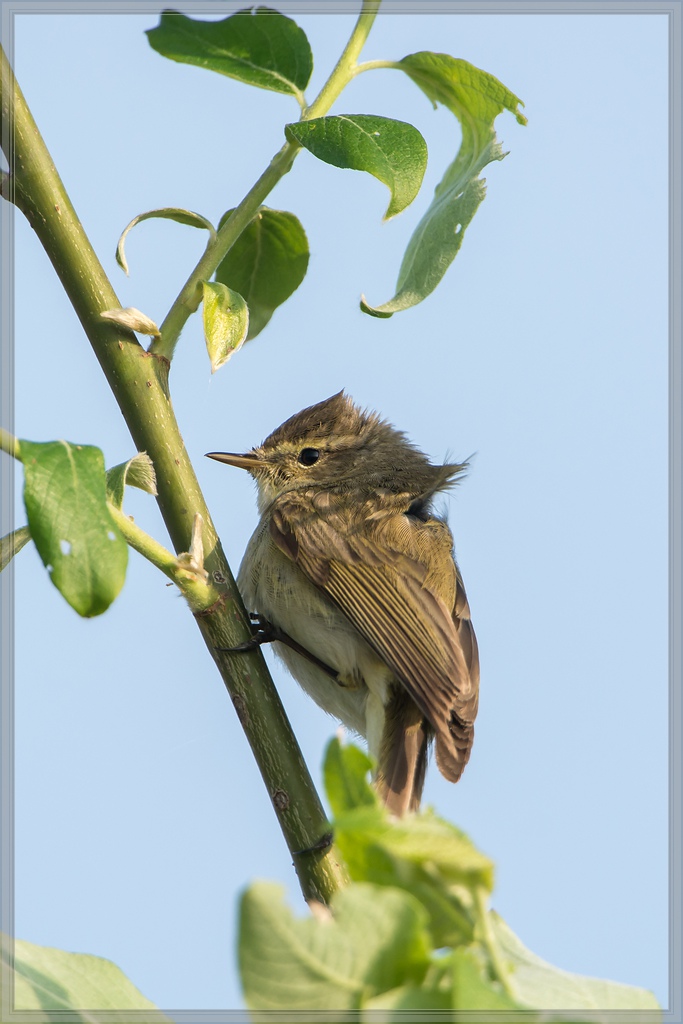 20140425 8035 [NIKON D7100] 850 mm,1 800 Sek. bei ƒ   8,0