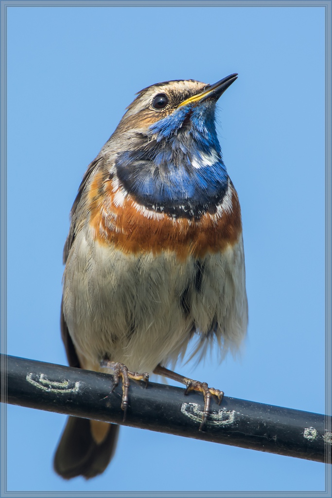 20140425 8167 [NIKON D7100] 850 mm,1 640 Sek. bei ƒ   8,0