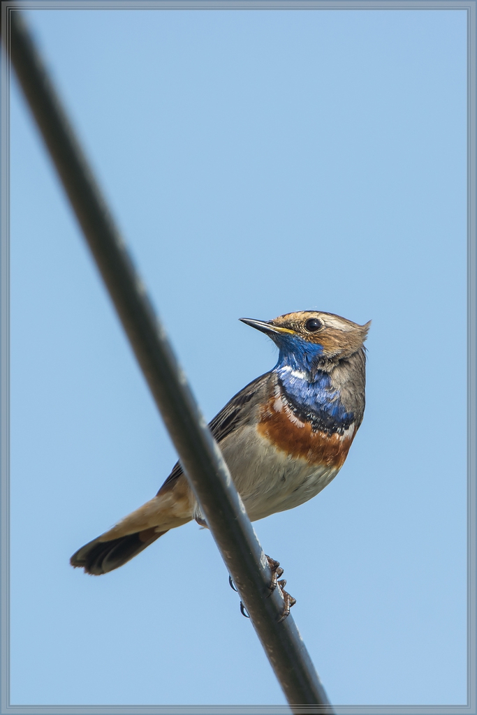 20140425 8252 [NIKON D7100] 850 mm,1 800 Sek. bei ƒ   8,0