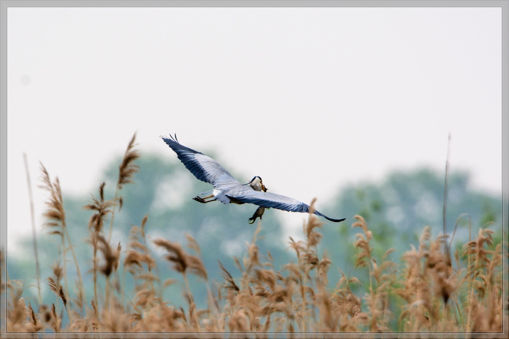 20140426 8375 [NIKON D7100] 850 mm,1 800 Sek. bei ƒ   8,0