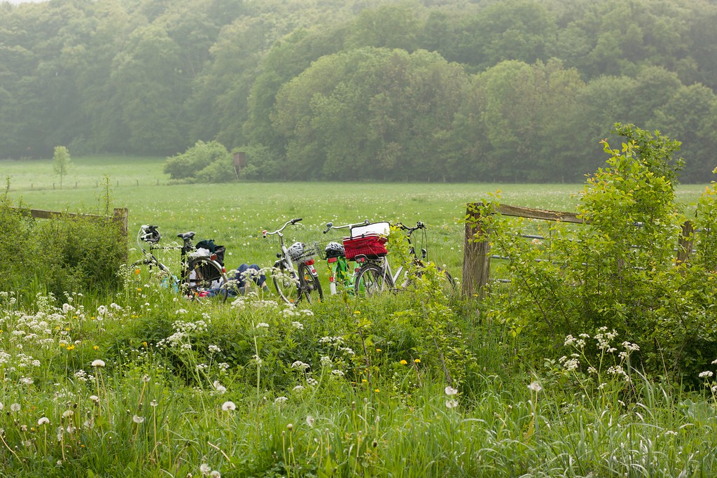 20140501 1124 [NIKON 1 V3] 32 mm,1 1250 Sek. bei ƒ   2,8
