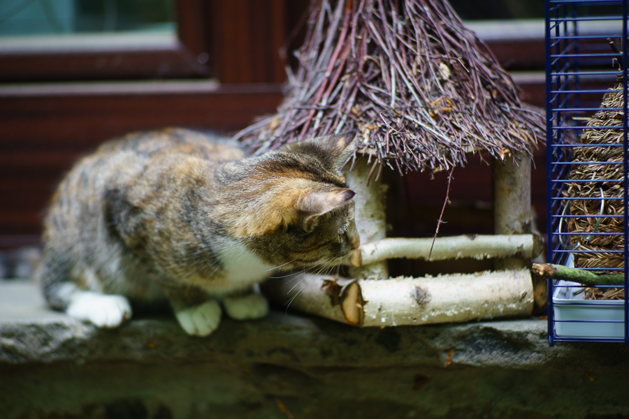 20140501 DSC00690