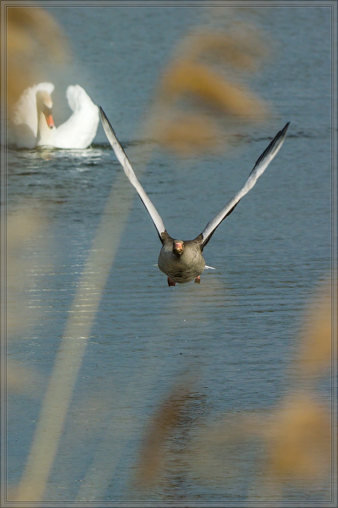 20140503 1847 [NIKON 1 V3] 250 mm,1 640 Sek. bei ƒ   5,6