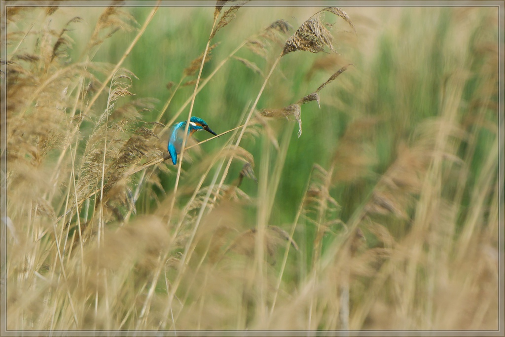 20140503 1907 [NIKON 1 V3] 400 mm,1 640 Sek. bei ƒ   5,6