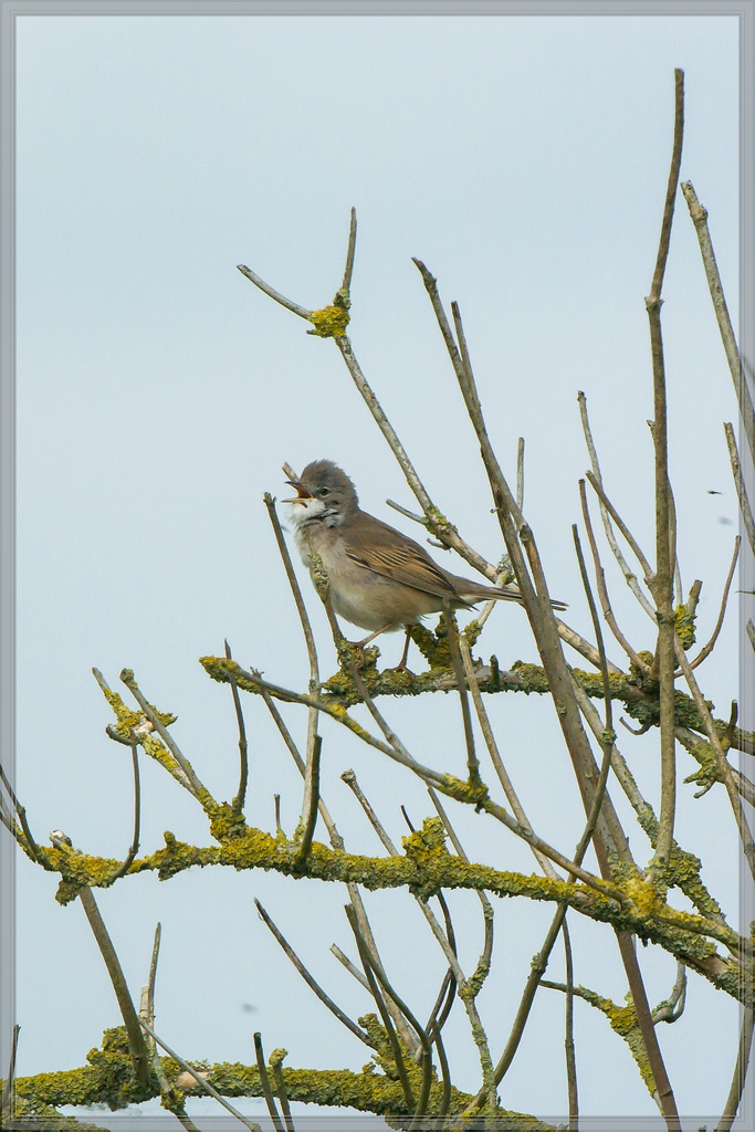 20140503 1936 [NIKON 1 V3] 400 mm,1 800 Sek. bei ƒ   5,6