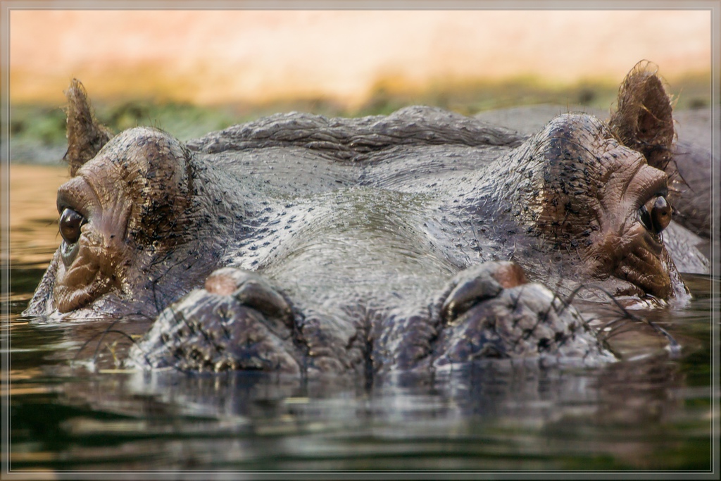 20140515 3223 [NIKON 1 V3] 110 mm,1 30 Sek. bei ƒ   6,3