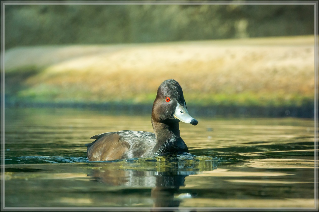 20140515 3257 [NIKON 1 V3] 110 mm,1 400 Sek. bei ƒ   5,6