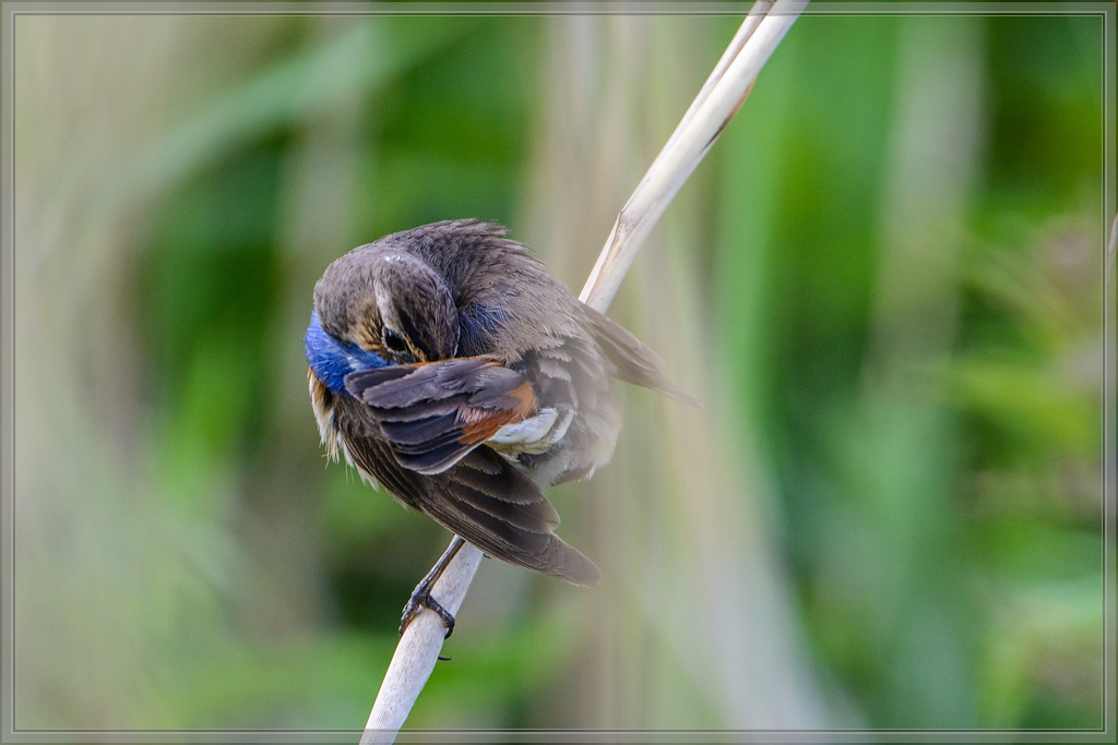 20140531 8818 [NIKON D7100] 600 mm,1 400 Sek. bei ƒ   8,0