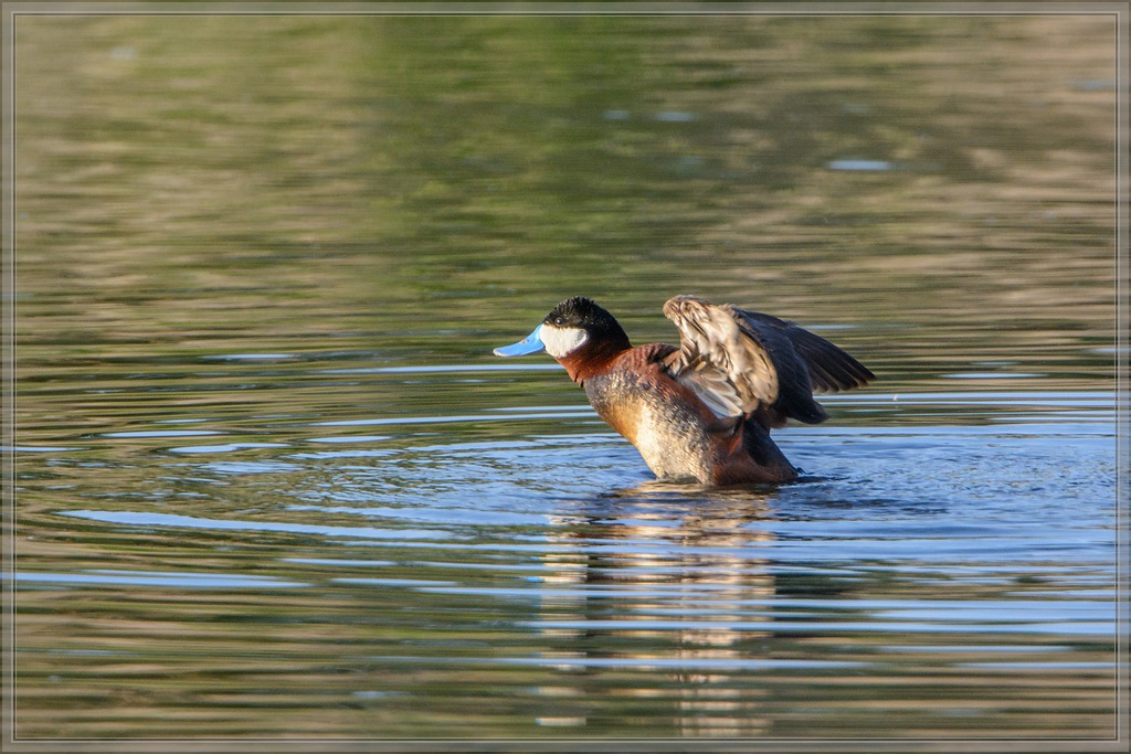 20140602 9285 [NIKON D7100] 850 mm,1 1000 Sek. bei ƒ   6,3