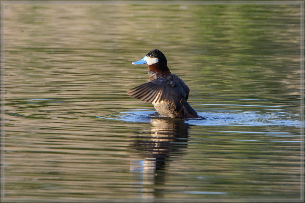 20140602 9290 [NIKON D7100] 850 mm,1 800 Sek. bei ƒ   5,6