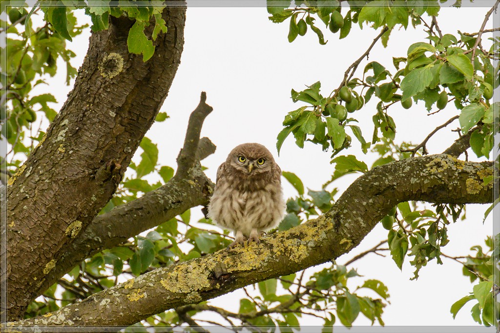 20140621 9954 [NIKON D7100] 400 mm,1 640 Sek. bei ƒ   5,6