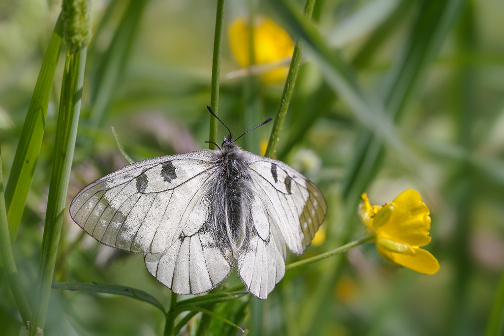 20140623 100702 Kopie