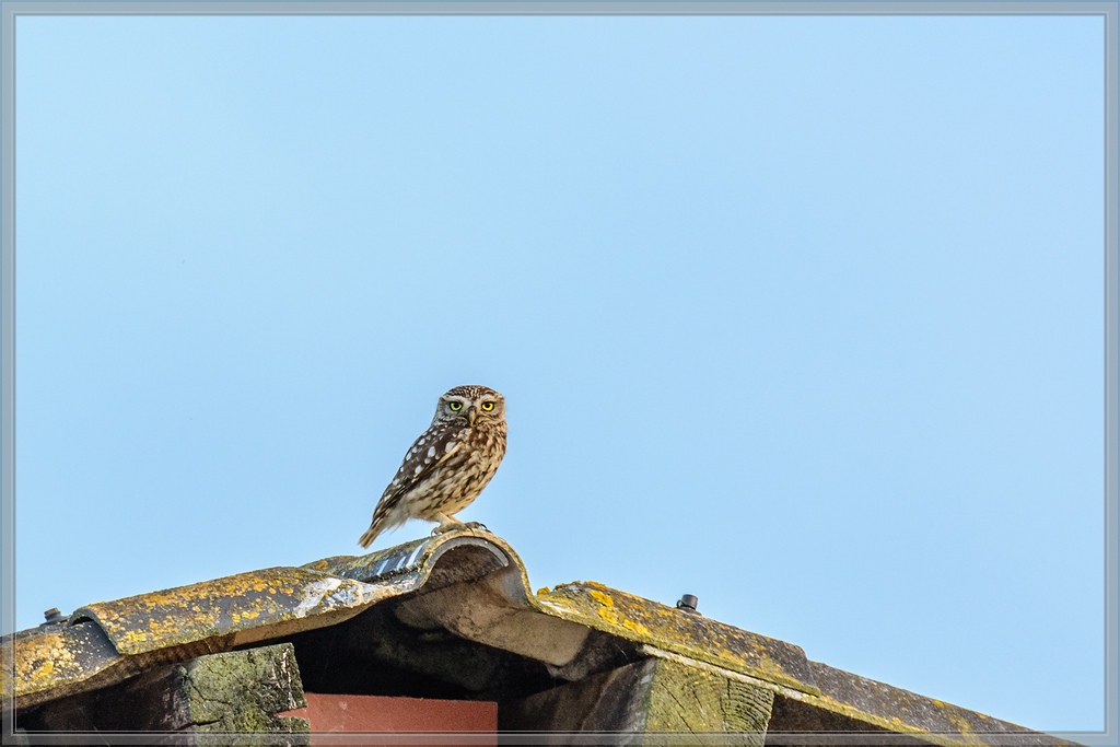 20140701 0251 [NIKON D7100] 400 mm,1 125 Sek. bei ƒ   5,6