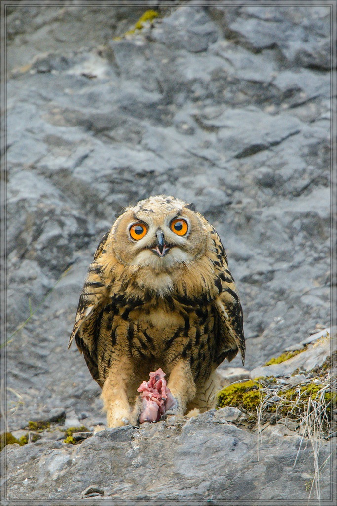 20140710 0826 [NIKON D7100] 850 mm,1 100 Sek. bei ƒ   6,3