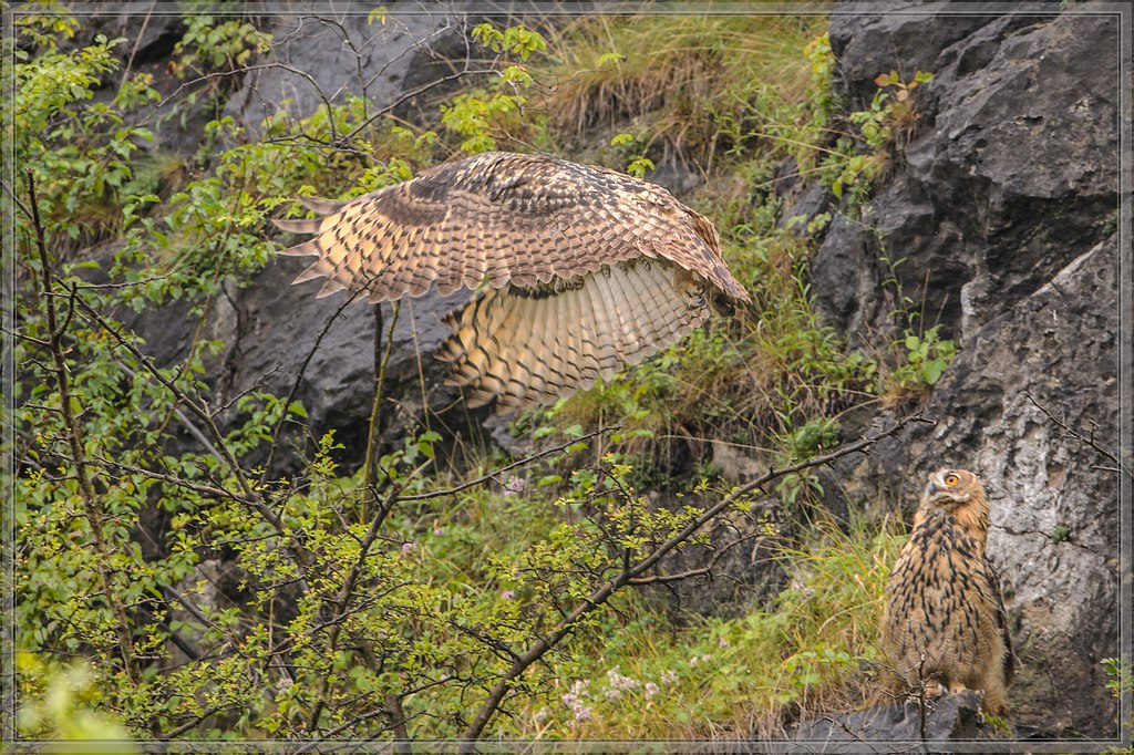 20140713 0479 [NIKON D4] 600 mm,1 640 Sek. bei ƒ   7,1