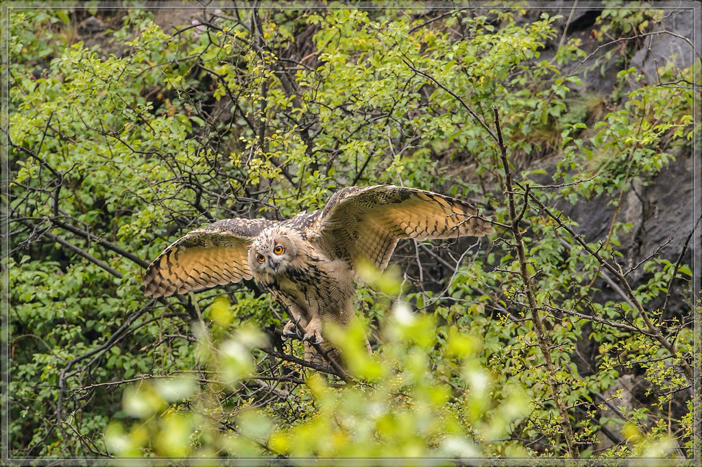 20140713 0516 [NIKON D4] 600 mm,1 640 Sek. bei ƒ   7,1