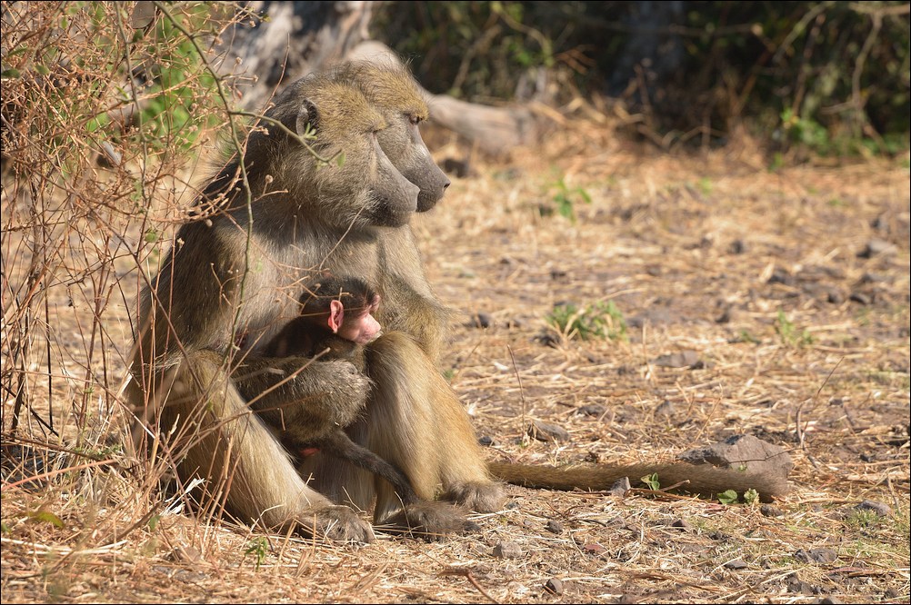 20140727 092325