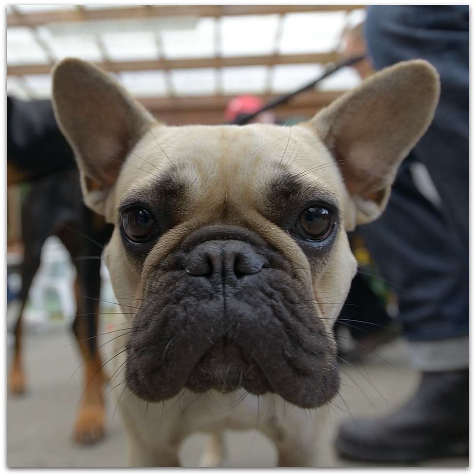 20140727 153149 800