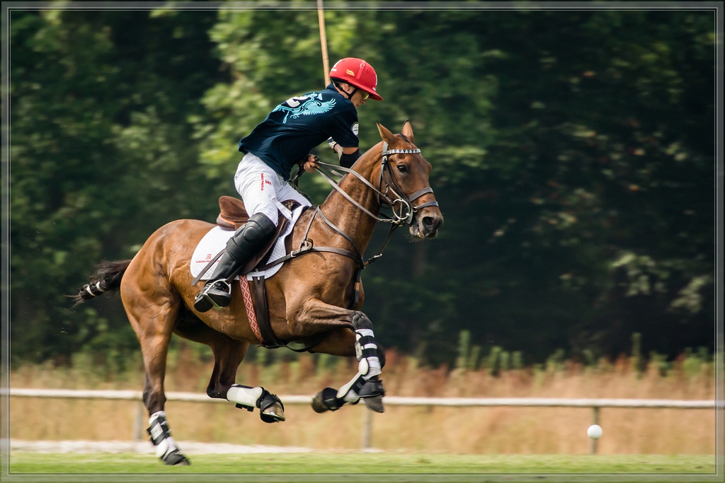 20140727 6126 [NIKON 1 V3] 300 mm,1 320 Sek. bei ƒ   5,6