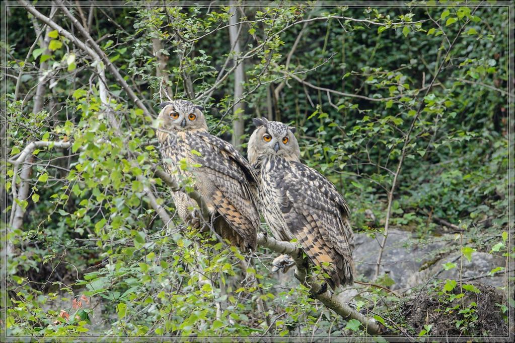 20140803 1791 [NIKON D4] 600 mm,1 320 Sek. bei ƒ   8,0