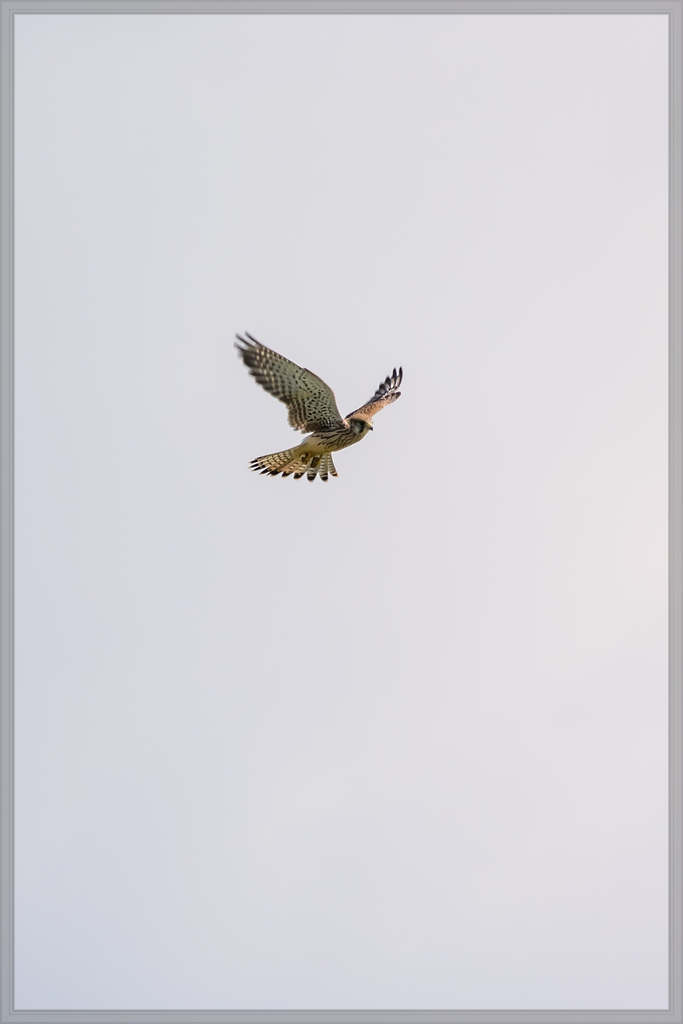 20140809 7021 [NIKON 1 V3] 300 mm,1 640 Sek. bei ƒ   6,3