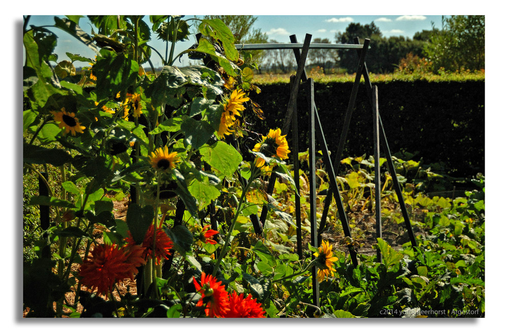 20140902 0105 Nolde Seebüll