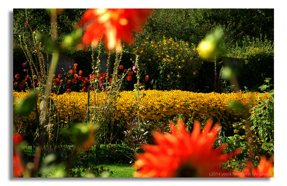 20140902 0148 Nolde Seebüll