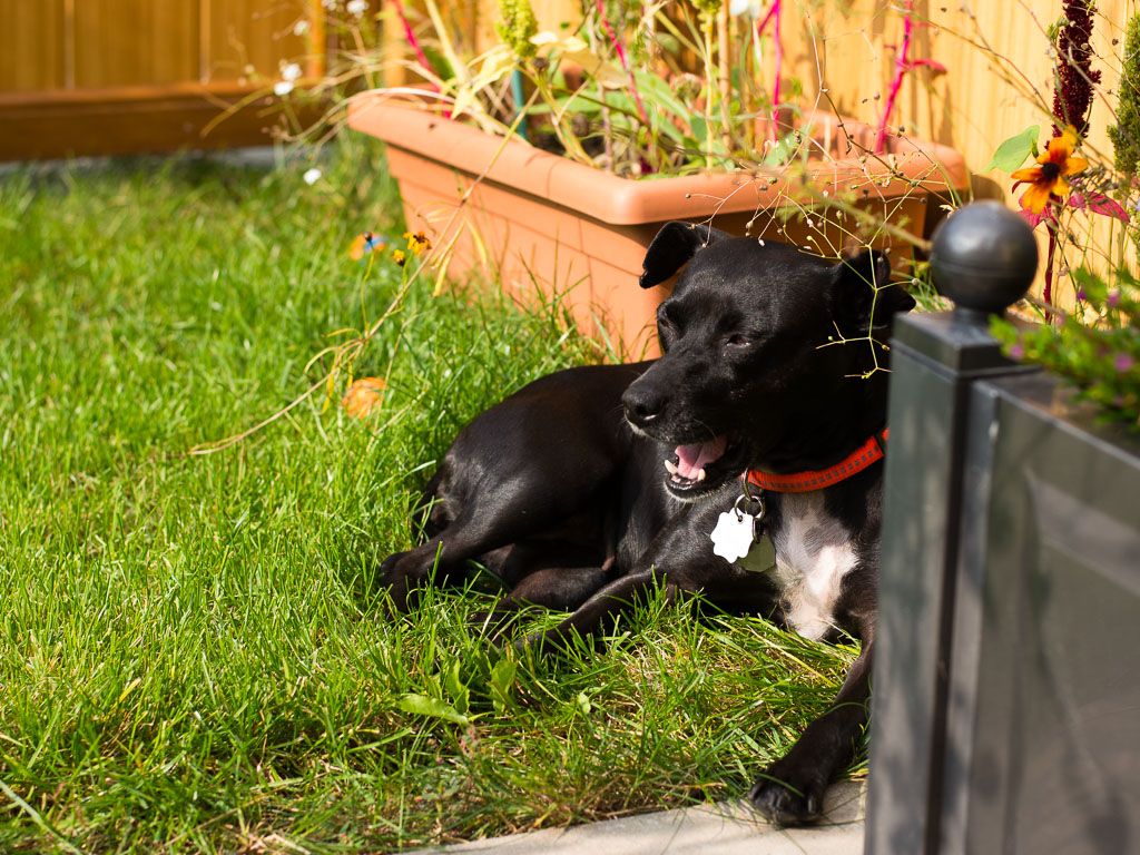 20140908 DSC 1657