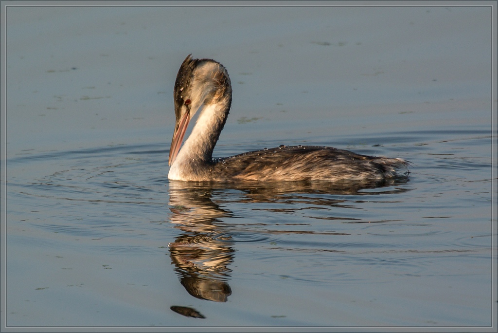 20141003 9535 [NIKON 1 V3] 300 mm,1 200 Sek. bei ƒ   5,6