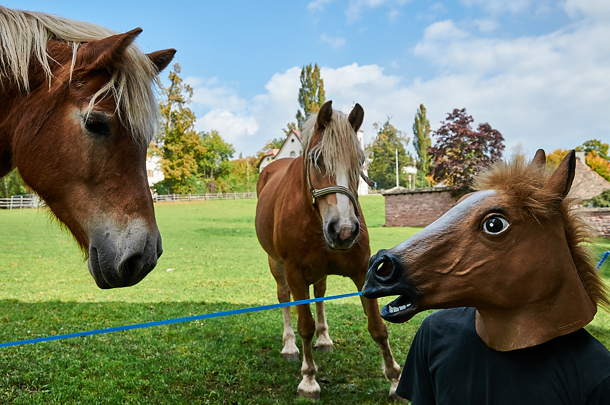20141004_121550.jpg