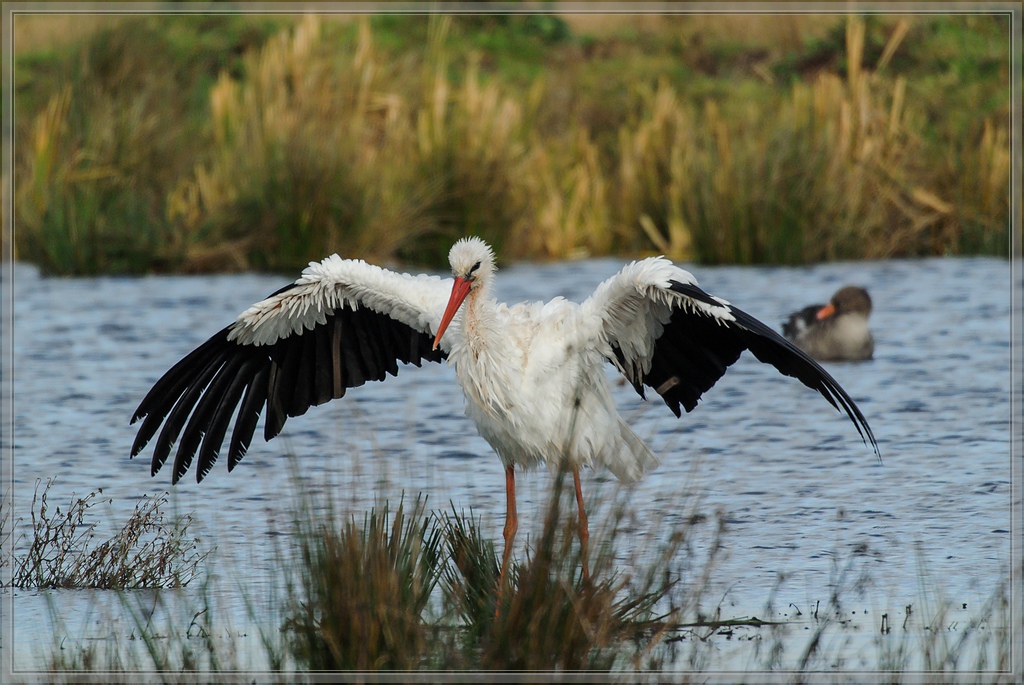 20141102 0027 [NIKON 1 V1] 300 mm,1 640 Sek. bei ƒ   5,6