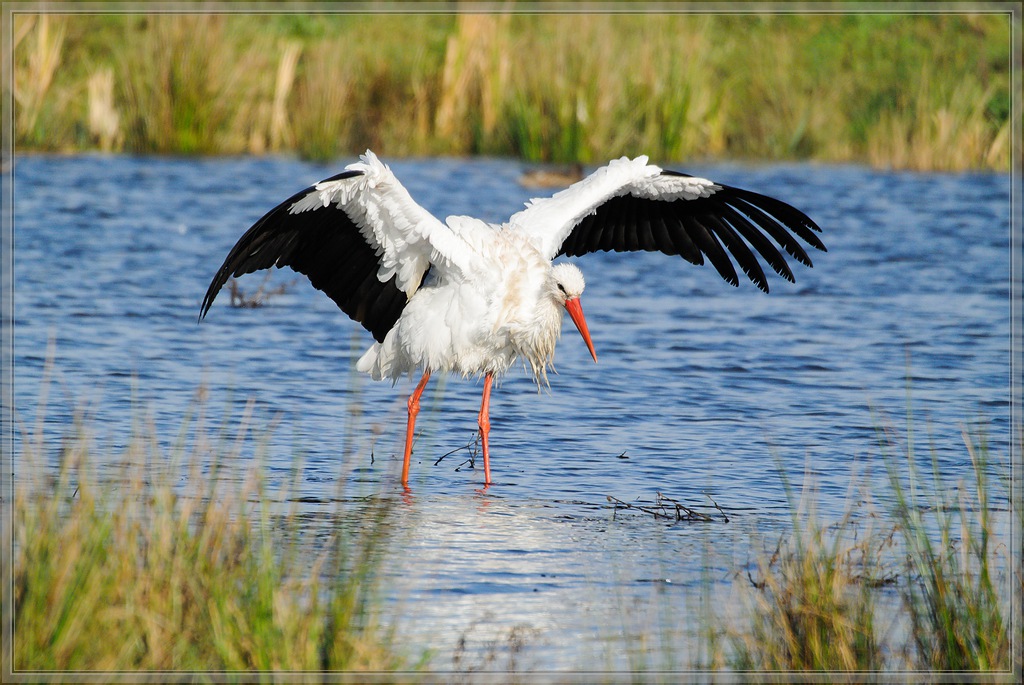 20141102 0097 [NIKON 1 V1] 300 mm,1 1600 Sek. bei ƒ   5,6