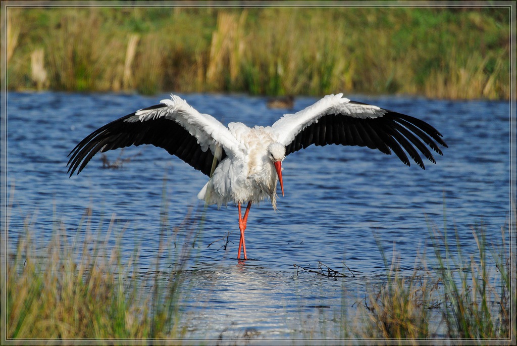 20141102 0101 [NIKON 1 V1] 300 mm,1 1600 Sek. bei ƒ   5,6