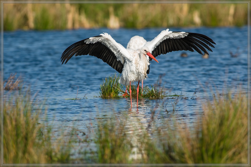 20141102 1818 [NIKON D810] 500 mm,1 1000 Sek. bei ƒ   5,6 2