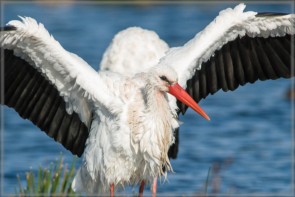 20141102 1818 [NIKON D810] 500 mm,1 1000 Sek. bei ƒ   5,6 4