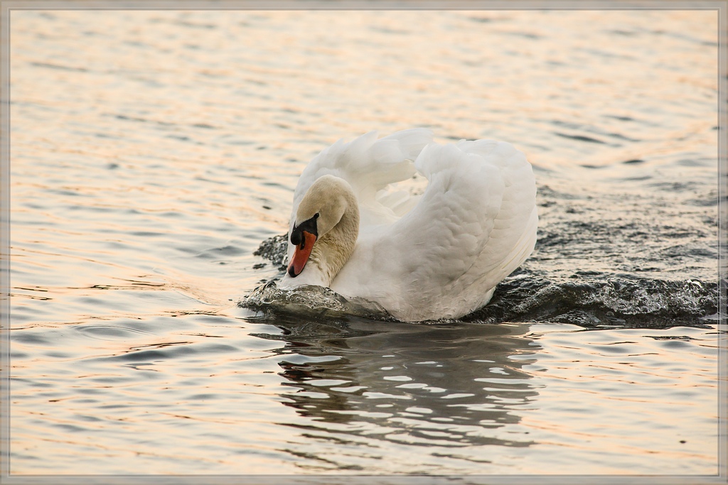 20141102 2301 [NIKON D810] 500 mm,1 640 Sek. bei ƒ   6,3