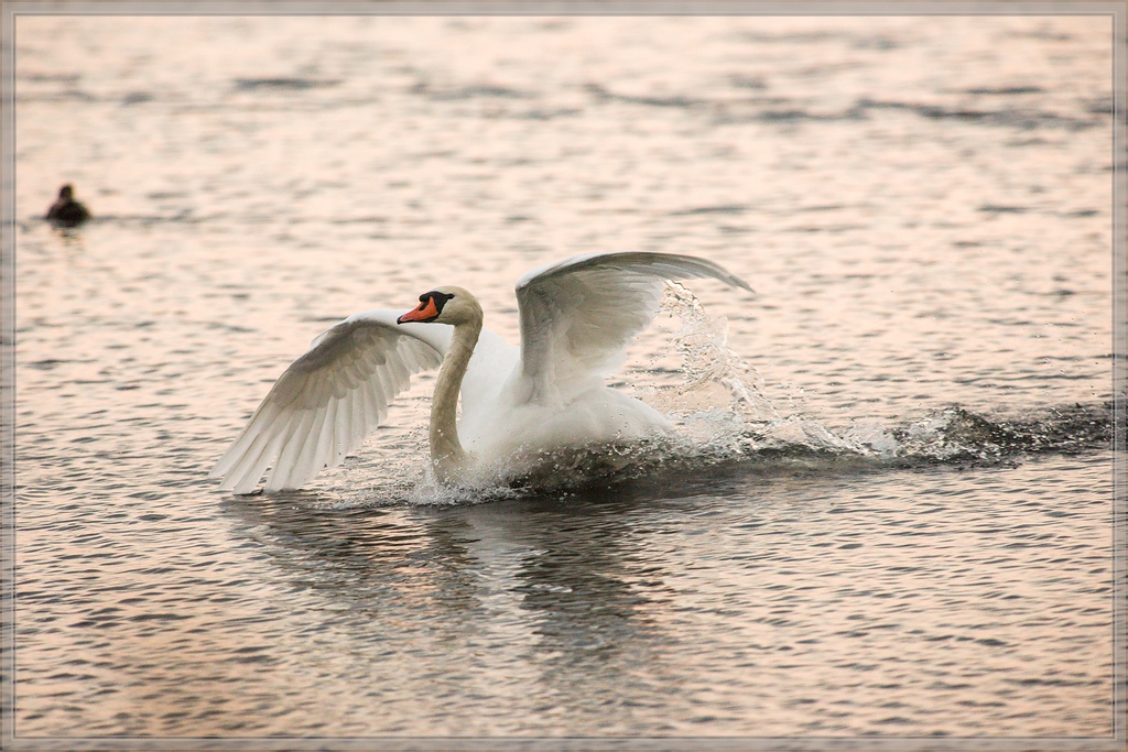 20141102 2400 [NIKON D810] 500 mm,1 640 Sek. bei ƒ   5,6